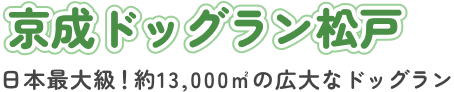 京成ドッグラン松戸