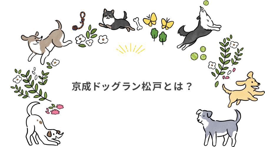 京成ドッグラン松戸とは?