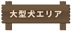 大型犬エリア