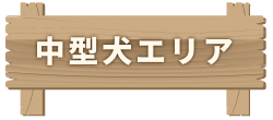 中型犬エリア