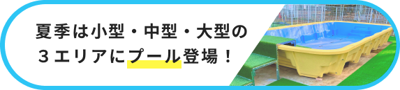 夏季は小型・中型・大型の３エリアにプール登場！