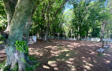 自然エリア